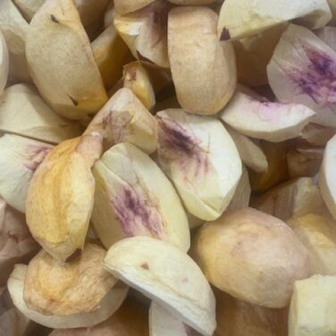 Freeze Dried Nectarines